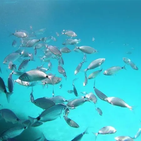 Casa Satta 1925 Πανσιόν