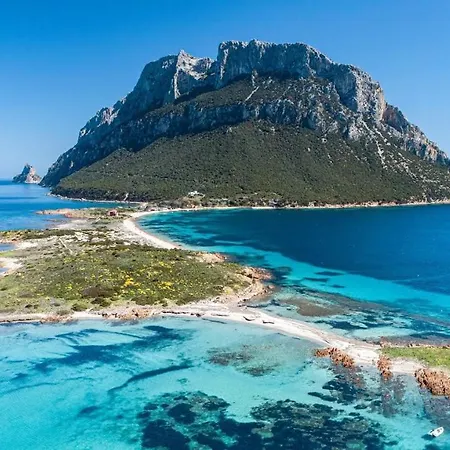 게스트하우스 Casa Satta 1925 3*