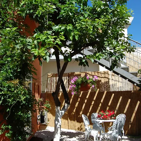 Casa Satta 1925 게스트하우스 올비아