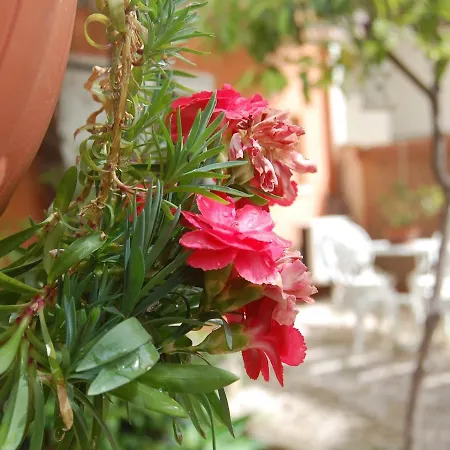 Pensionat Casa Satta 1925 Olbia